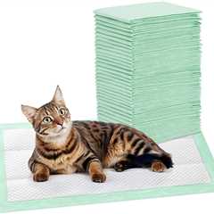 Cat Pads Review: The Absorbency Maestro!