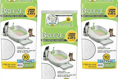 Tidy Cats Breeze Cat Pads Review: No More Odor Woes