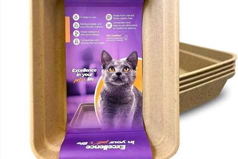 Disposable Cat Litter Box Review: Sturdy and Spacious