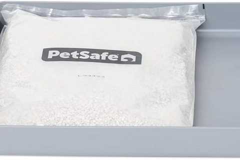 PetSafe ScoopFree Tray Review: The Cat’s Meow