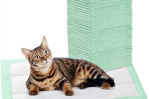 Cat Pads Review: The Absorbency Maestro!